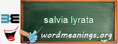 WordMeaning blackboard for salvia lyrata
